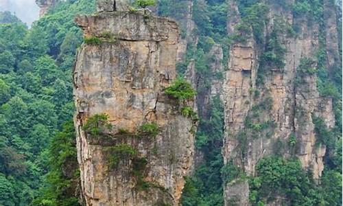 张家界带孩子自由行旅游攻略_张家界带孩子自由行旅游攻略