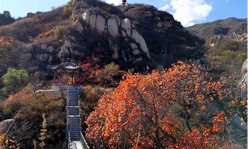 凤凰岭自然风景区海拔多少米_凤凰岭自然风景区