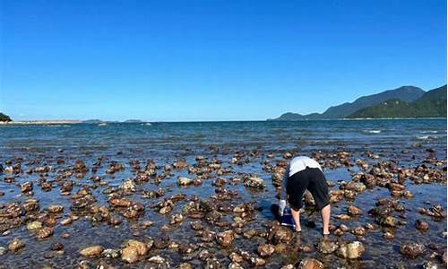 深圳海边旅游攻略赶海_深圳海边旅游攻略赶海路线