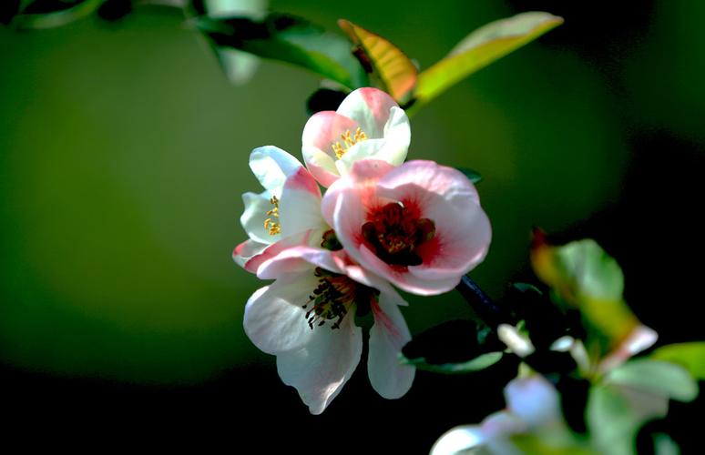 浣花溪公园门票多少钱一张_浣花溪公园门票多少钱一张票