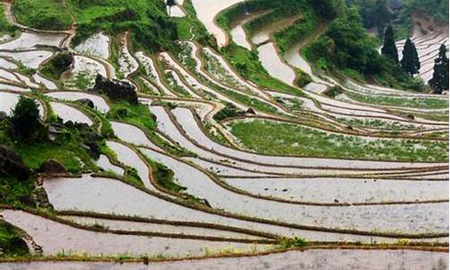 丽水梯田旅游攻略_丽水梯田旅游攻略一日游