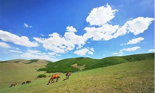 丰宁坝上草原旅游攻略自驾游路线图_丰宁坝上草原旅游攻略自驾游路线图片