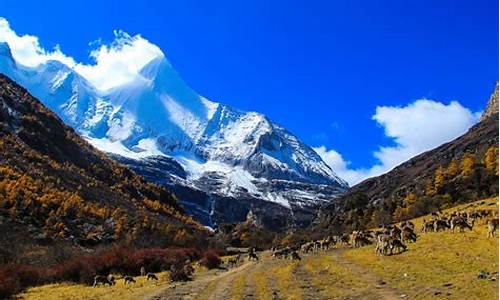 稻城亚丁旅游攻略携程推荐_稻城亚丁详细旅游攻略