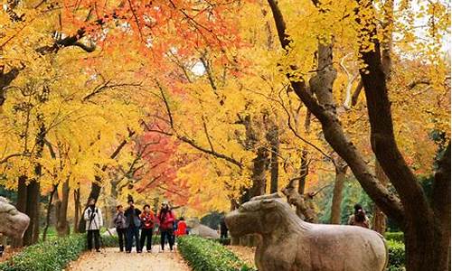 南京秋季旅游攻略_南京秋季旅游攻略二日游