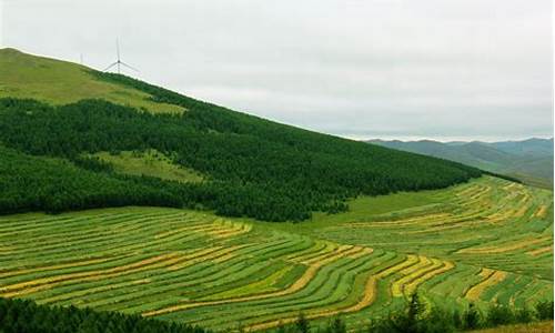 草原天路自驾游攻略呼伦贝尔怎么去_草原天路和呼伦贝尔