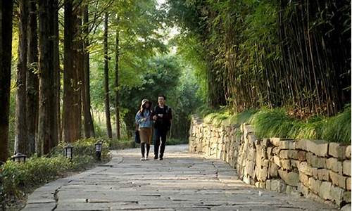 乌镇景区天气预报_乌镇景区天气预报15天