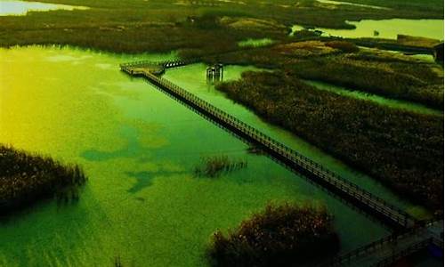 慈溪杭州湾湿地公园门票多少_慈溪杭州湾湿地公园门票多少钱