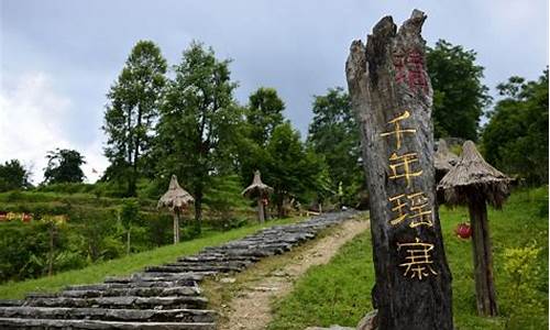 通城瑶族旅游景点门票老人半价_通城瑶族旅游景点门票老人半价免费吗