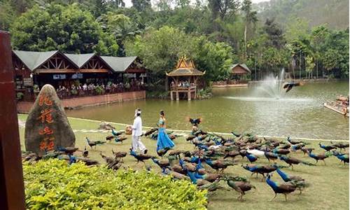 原始森林公园,中科院植物园,热带雨林谷的区别_原始森林公园,中科院植物园,热带雨林谷的区别